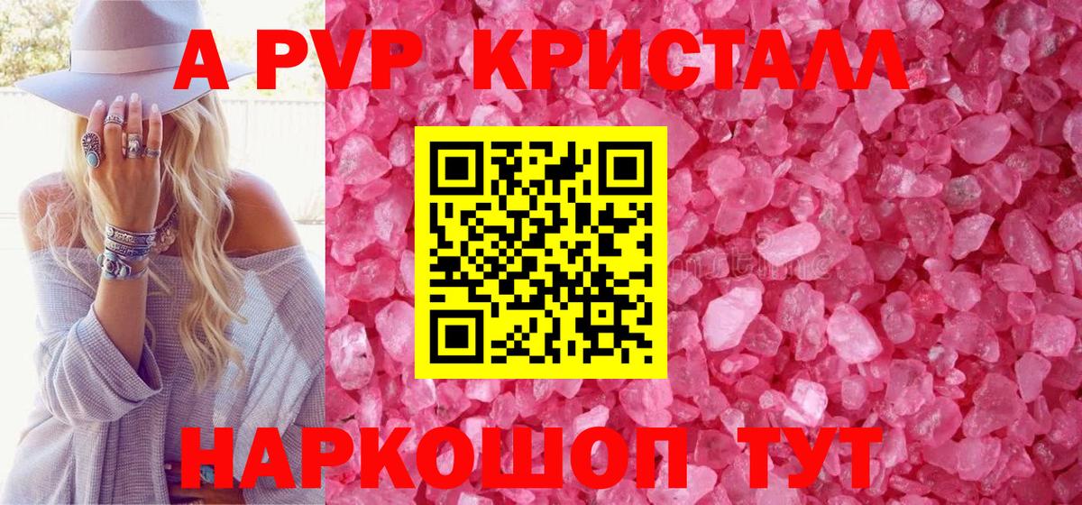 A PVP СК КРИС Гай