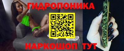 молекула духа Брянск