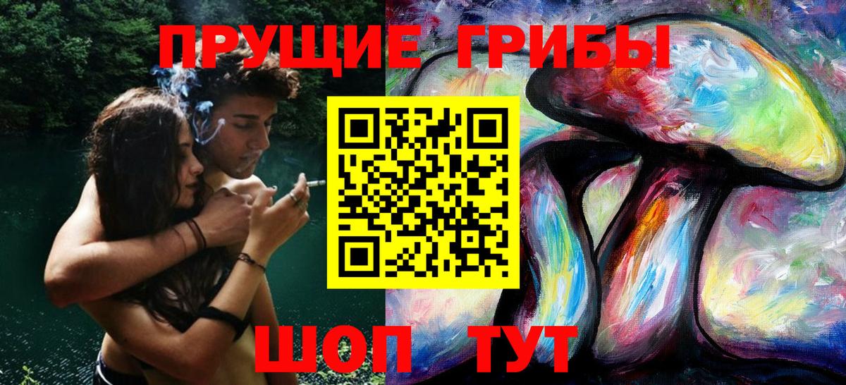 Гай  Псилоцибиновые грибы прущие грибы  что такое   Вход с VPN 
