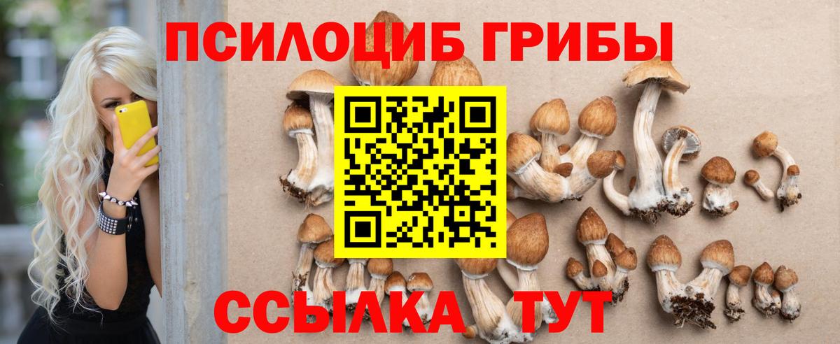 Галлюциногенные грибы ЛСД Гай