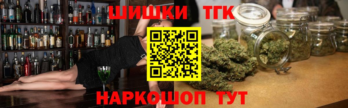 Каннабис планчик Гай